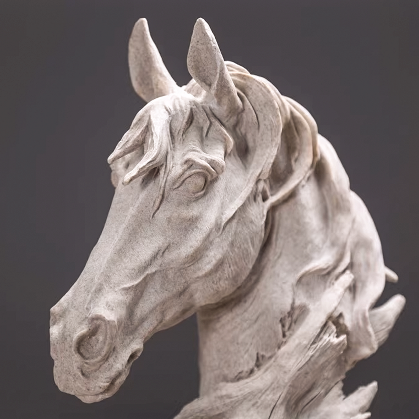 تحفة رأس الحصان