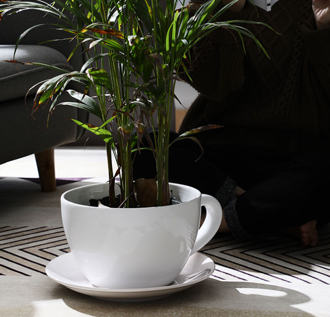 Giant decorative mug